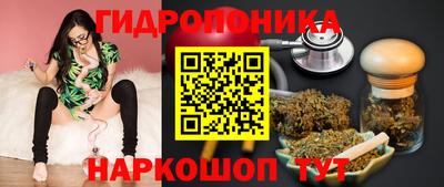 соль ск Лесосибирск