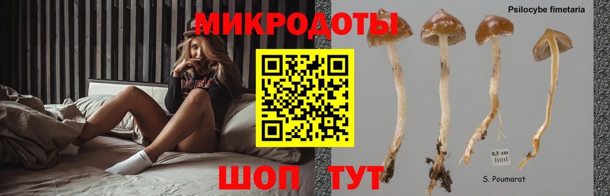Псилоцибиновые грибы мицелий  Псилоцибиновые грибы прущие грибы  Гусев  Вход с VPN 